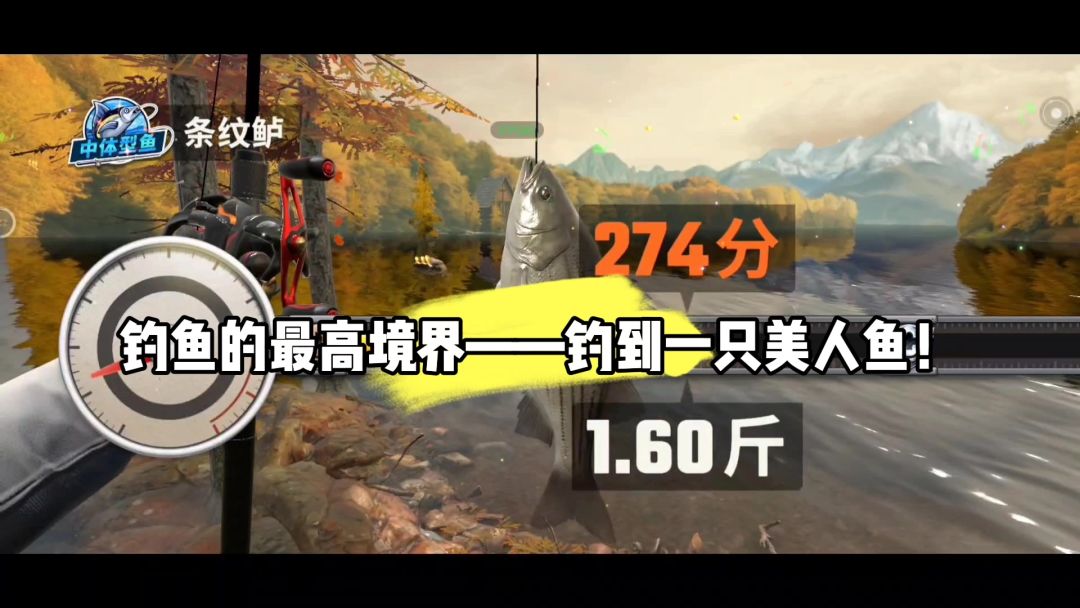 video-4095387