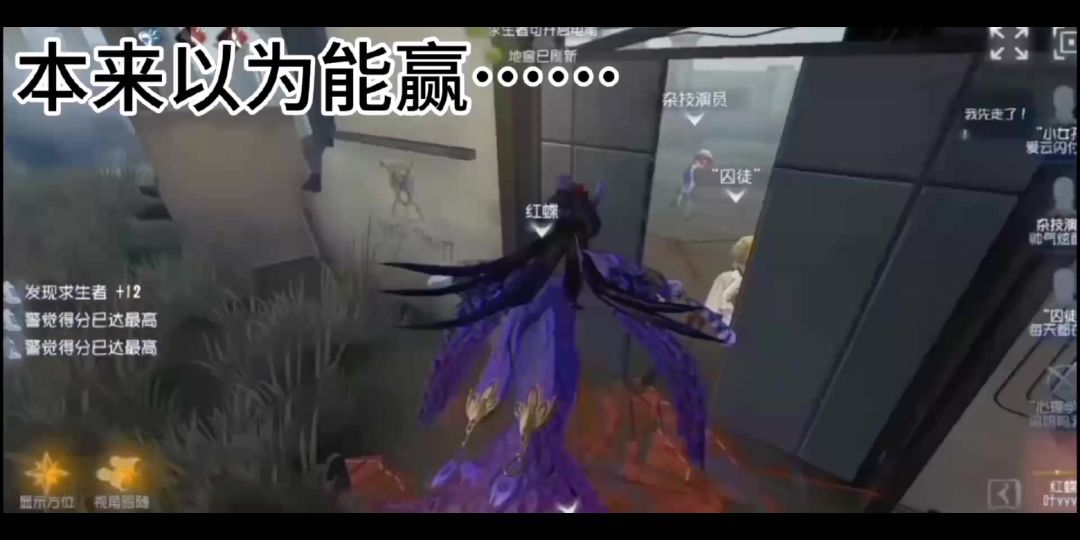 video-4095830