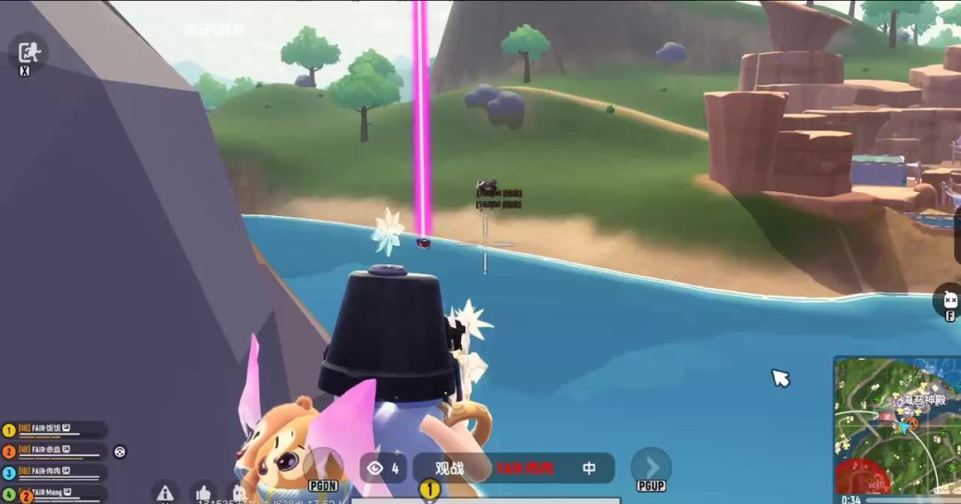 video-4096438
