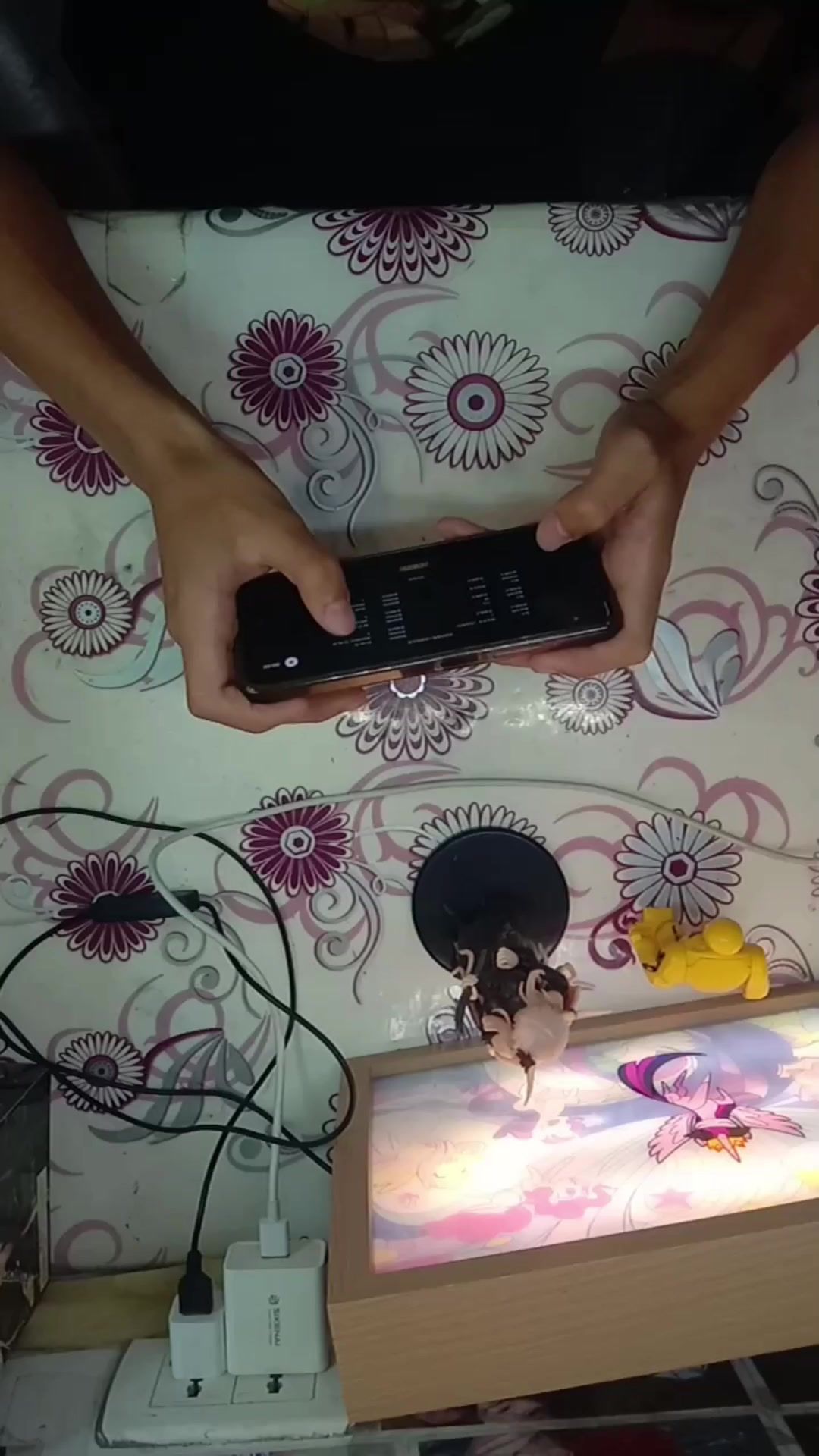 video-4100420