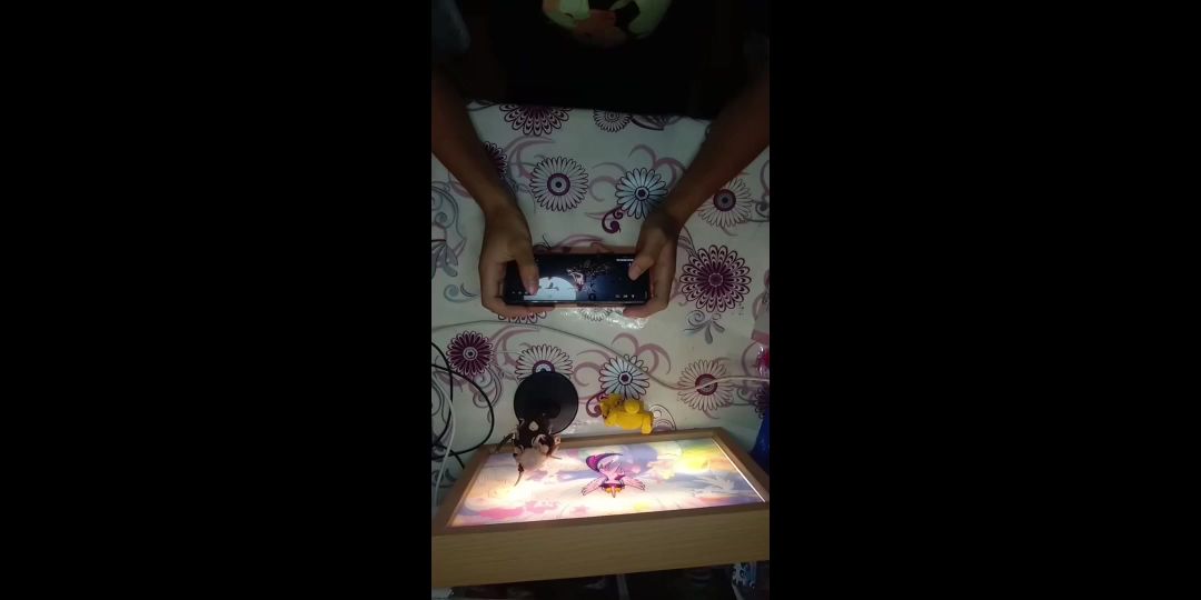 video-4100432