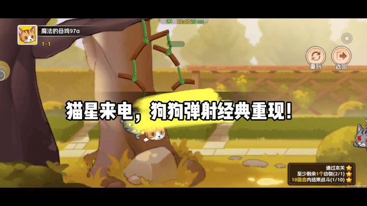 猫星来电，狗狗弹射经典重现！截图
