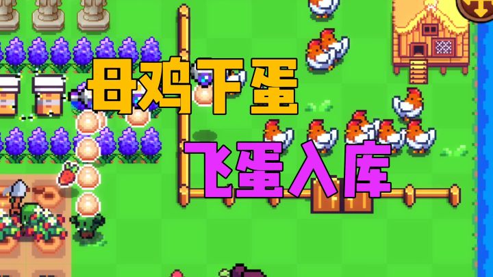 母鸡下蛋飞蛋入库截图