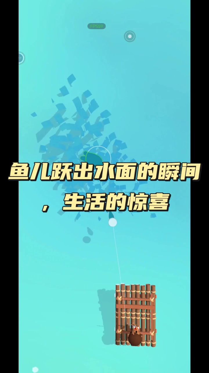 鱼儿跃出水面的瞬间,生活的惊喜截图