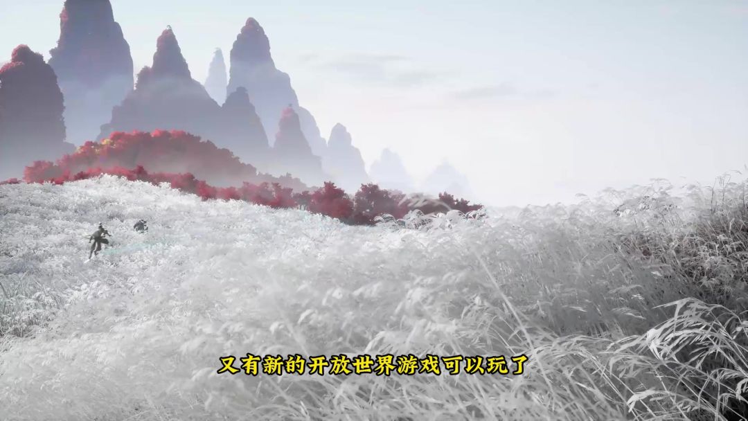 video-4109138