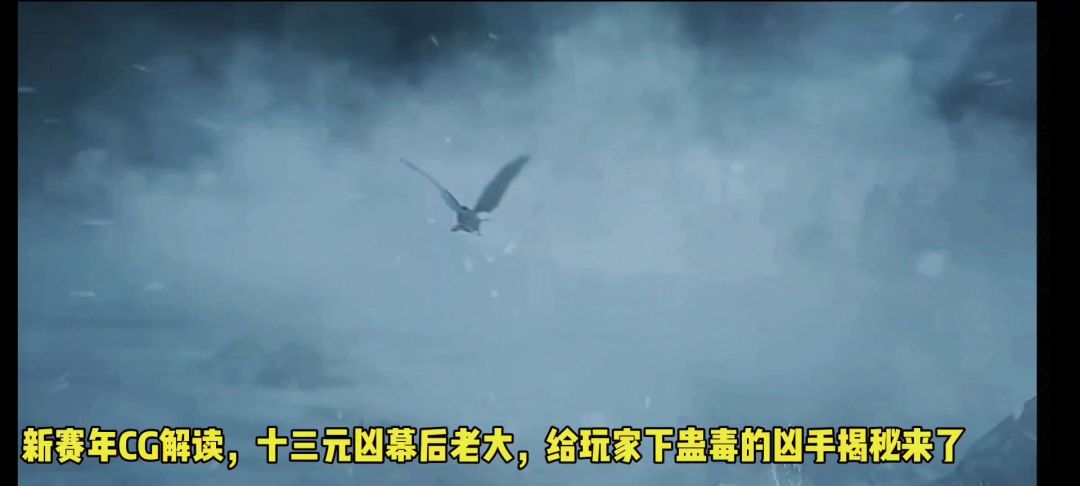 video-4113254