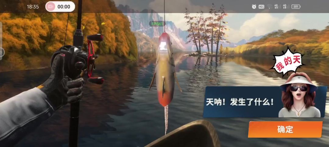 video-4114305