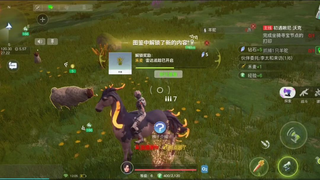 video-4114944