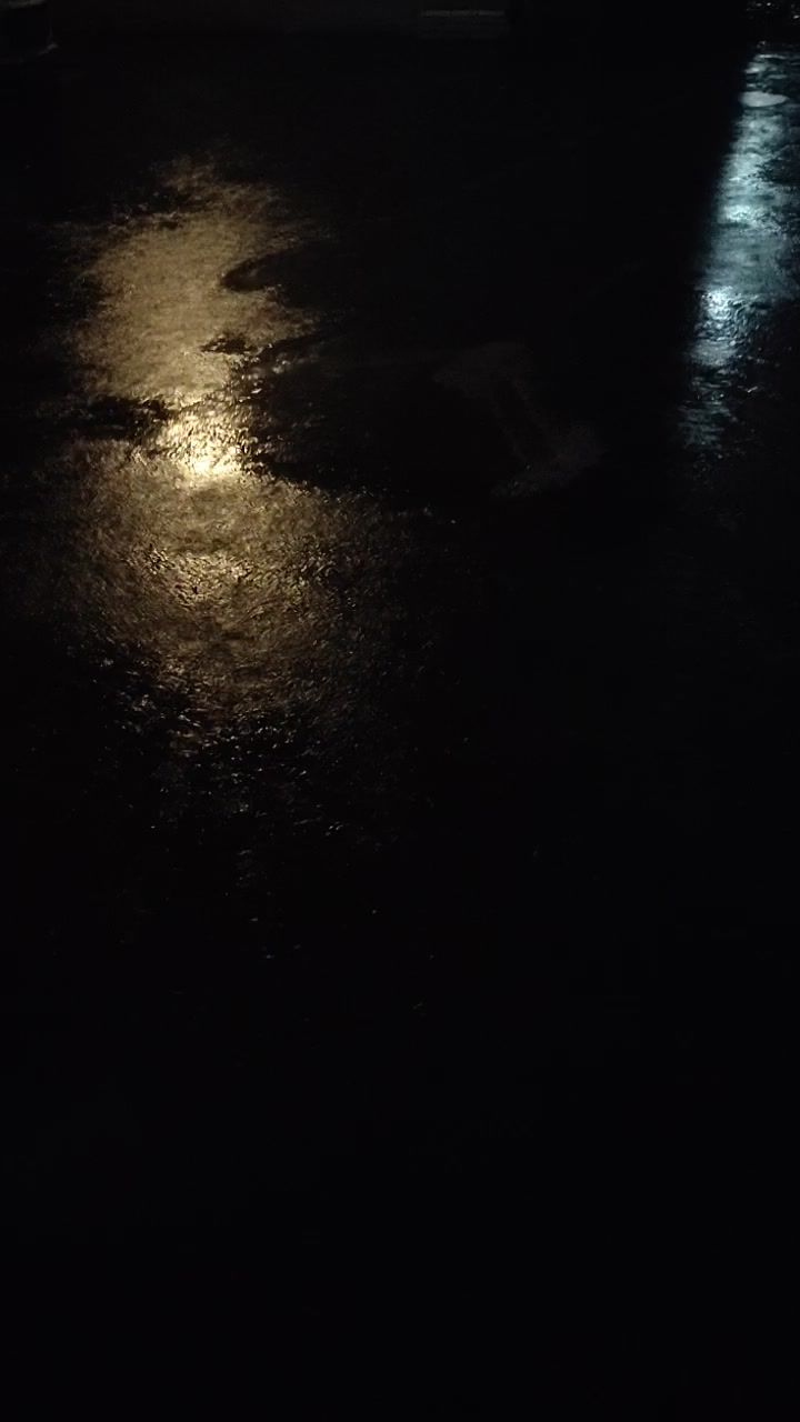 video-4116661