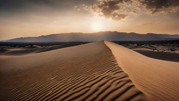 我是大东家 x 敦煌博物馆联动今日正式开启！重走丝绸行商路！