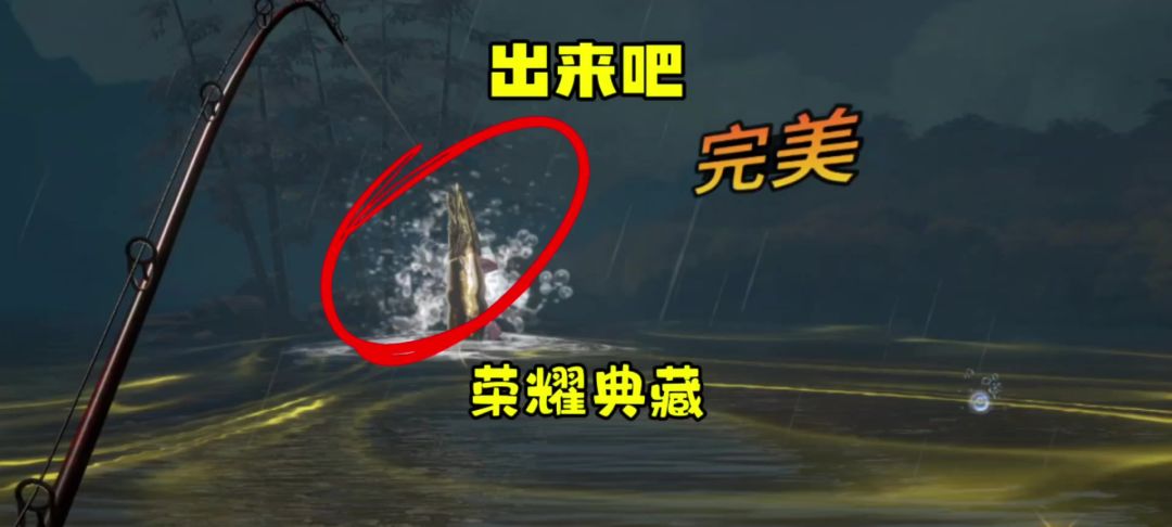 video-4118776