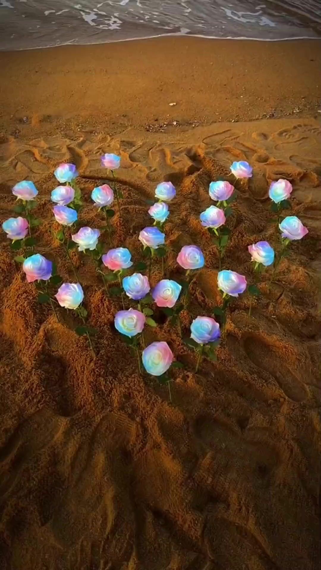 video-4118870