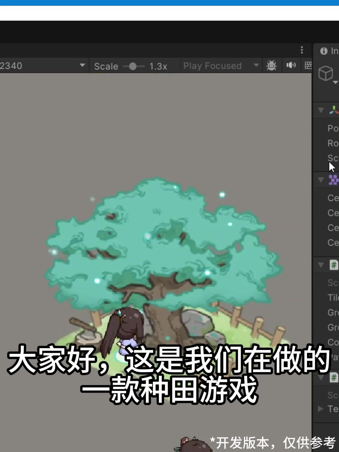 video-4119219