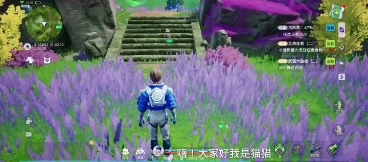 这个领主啾啾像个会魔法的小仙女截图