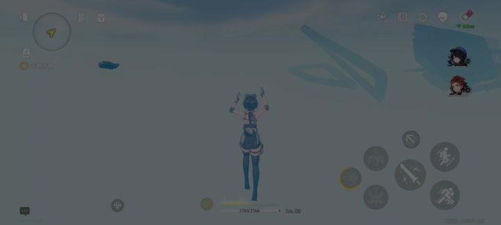 bug截图