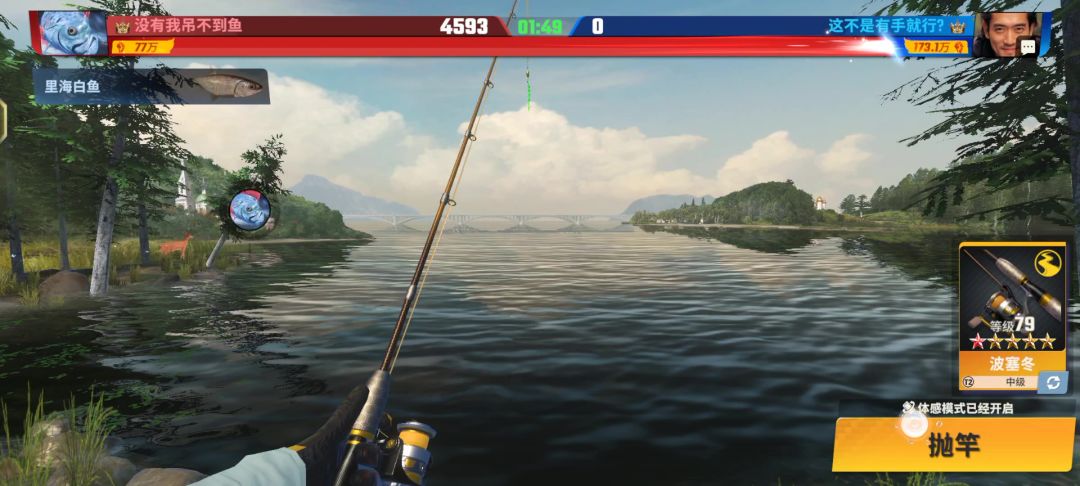video-4126024