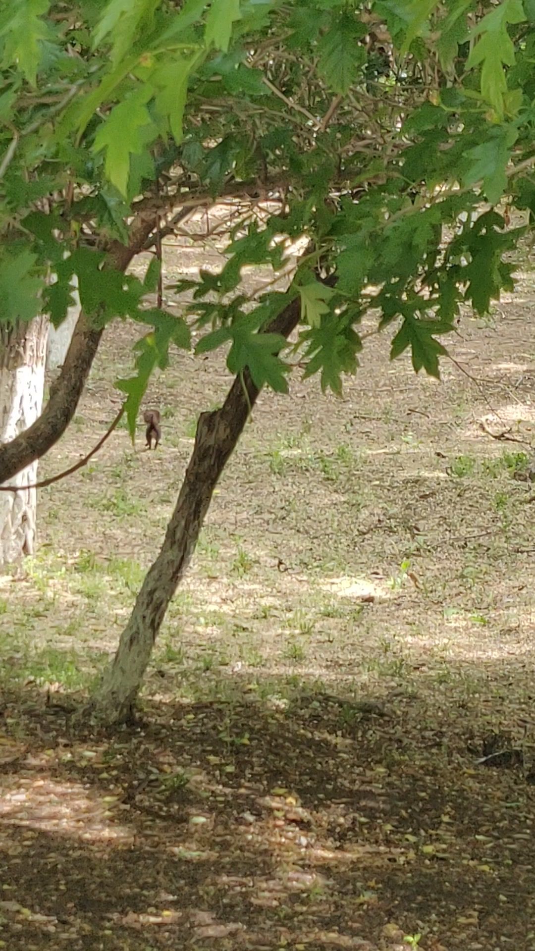 video-4127178