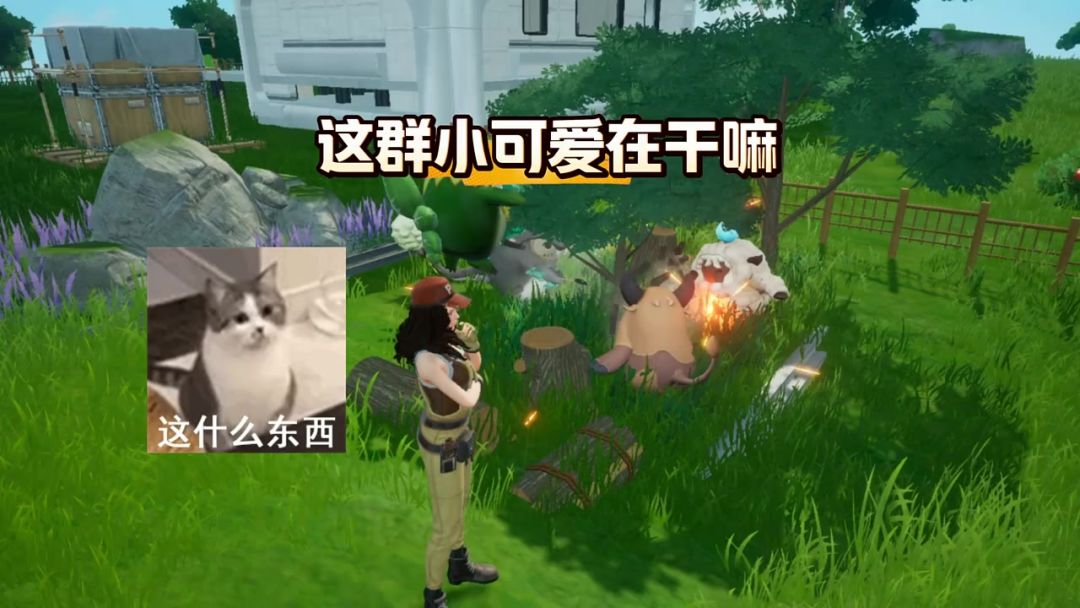 video-4128215