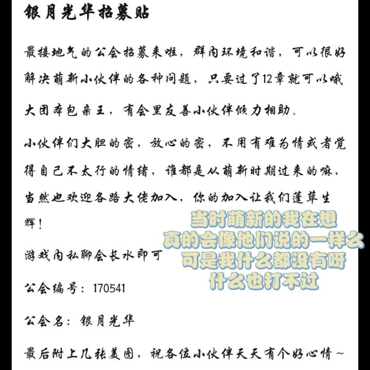 银月光华招募贴截图