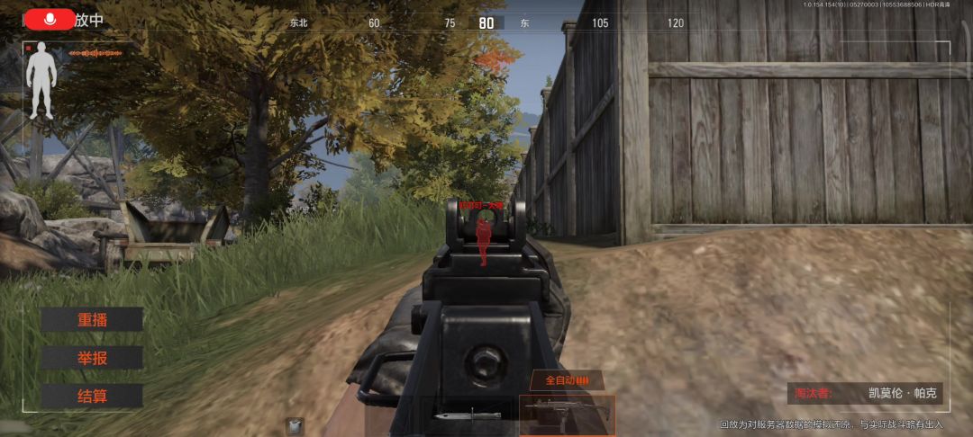 video-4130733