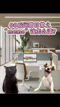 猫meme到底怎么念啊！？
