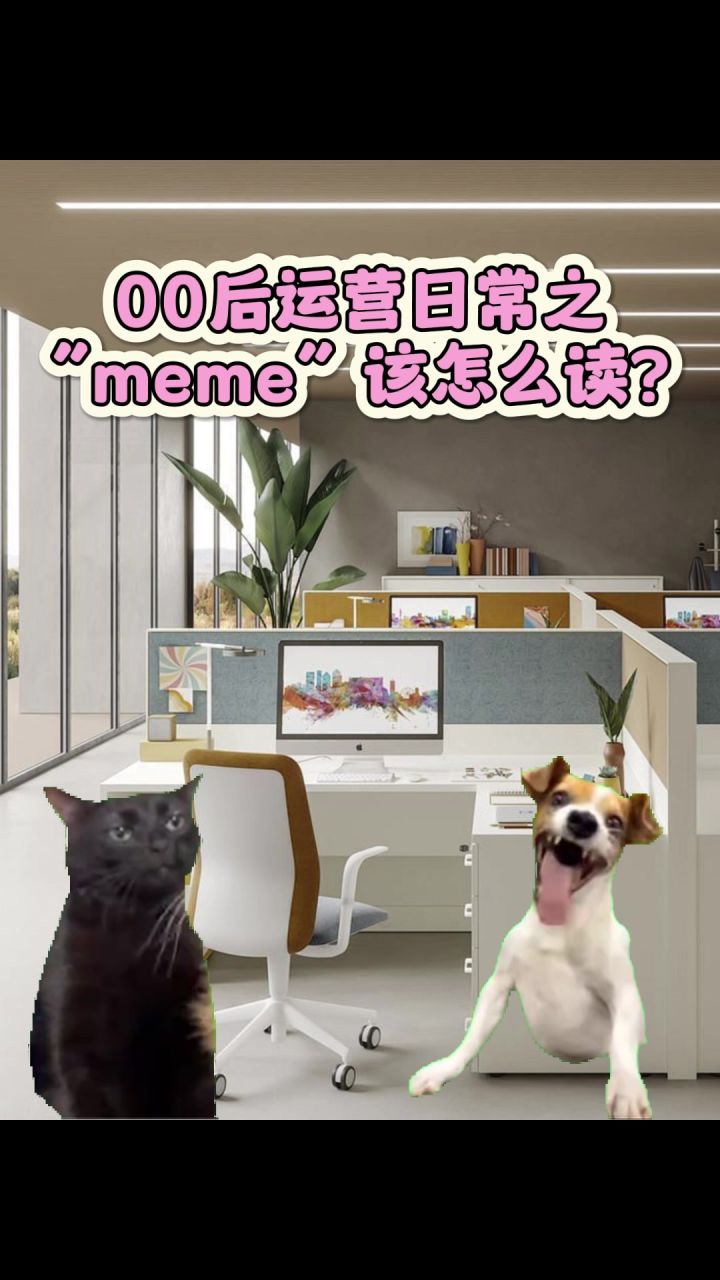 猫meme到底怎么念啊!?截图