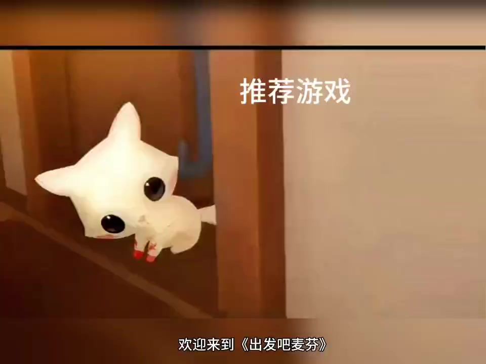 video-4137944