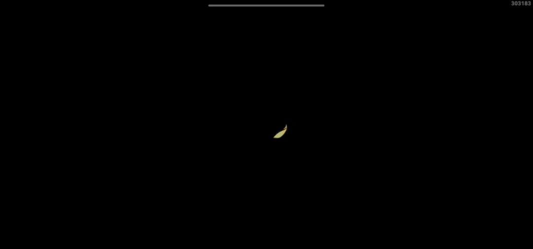 video-4141593