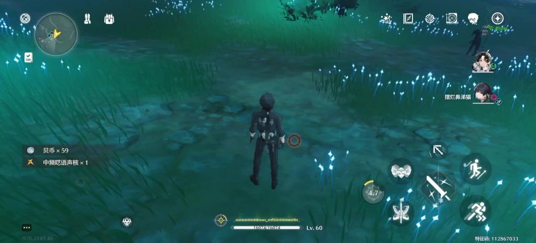 video-4146777