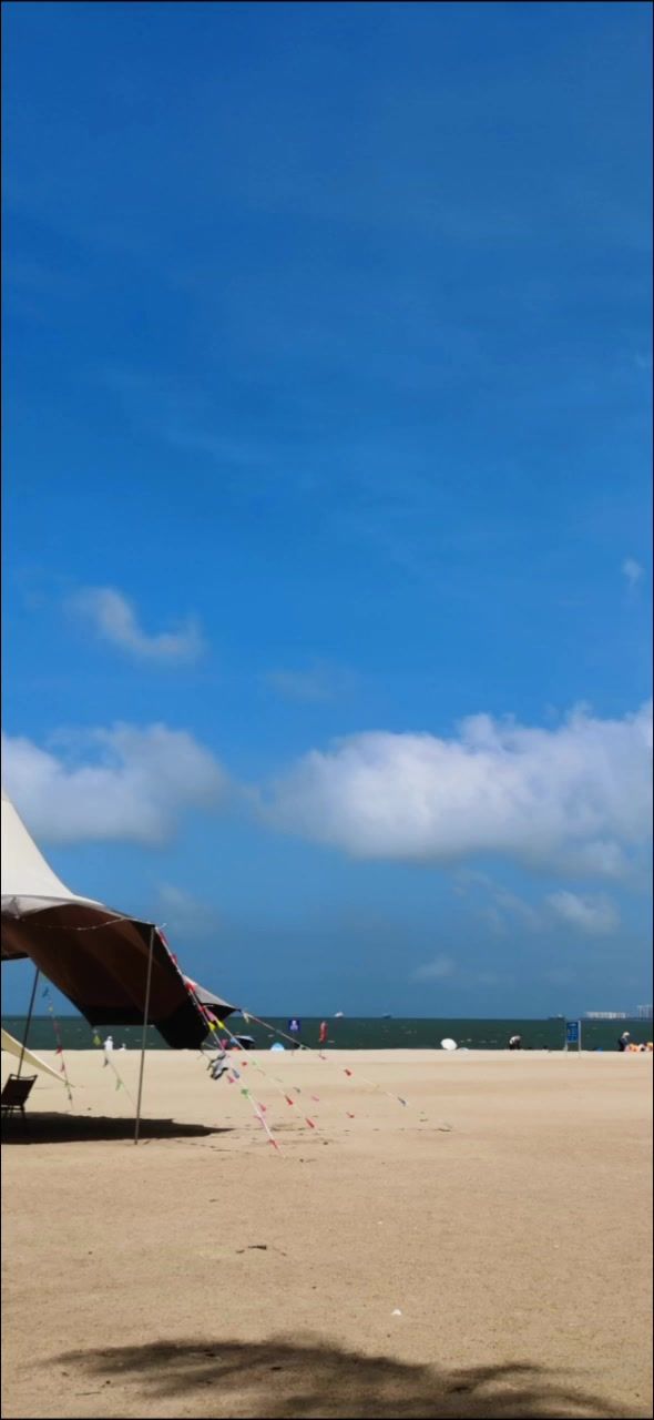 video-4149956