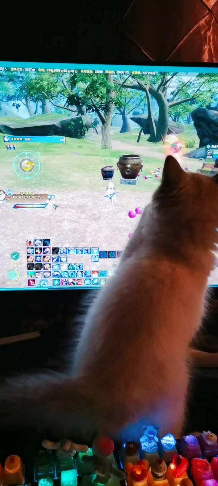 猫比我更喜欢玩剑网三截图
