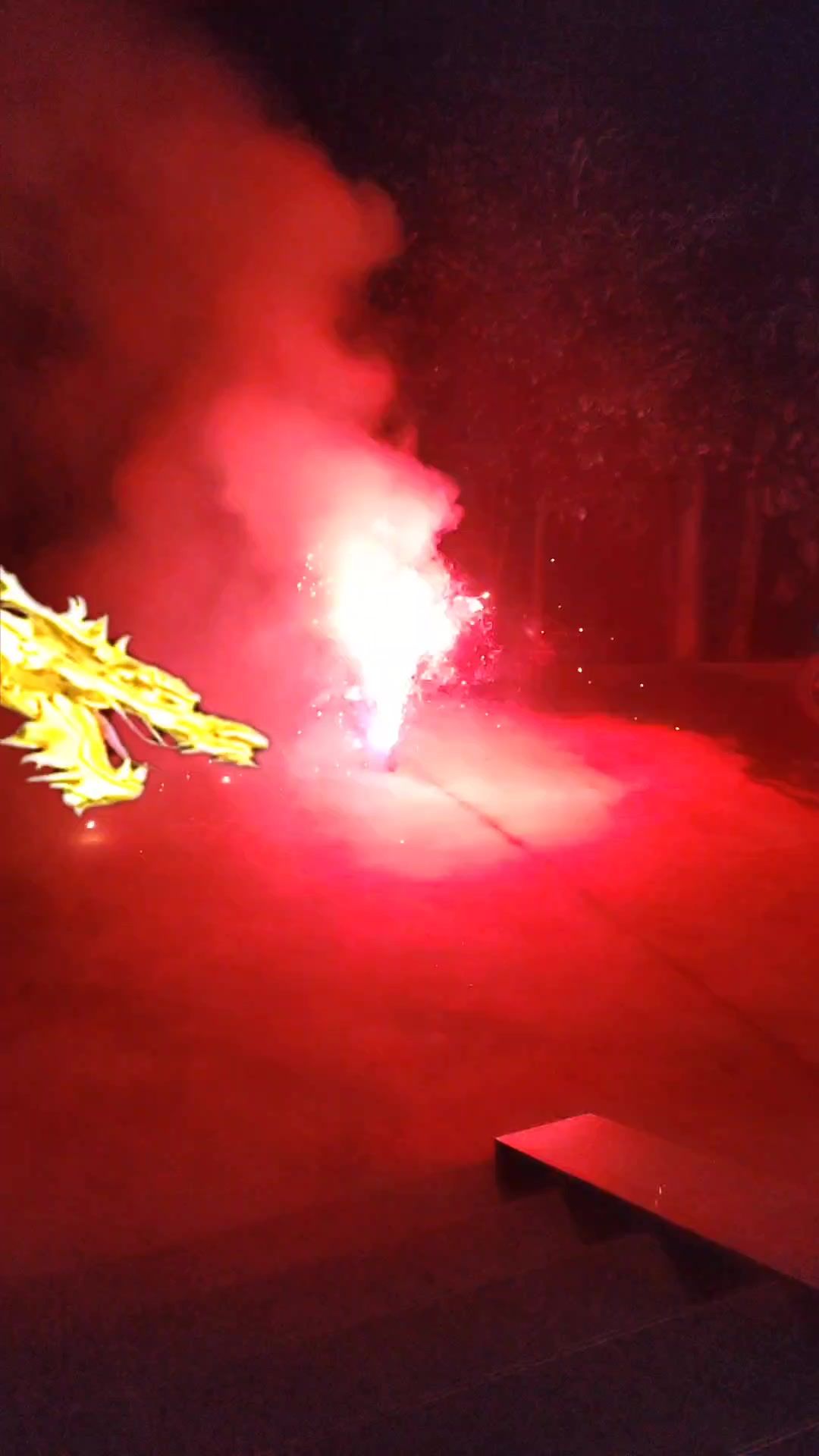 video-4153019