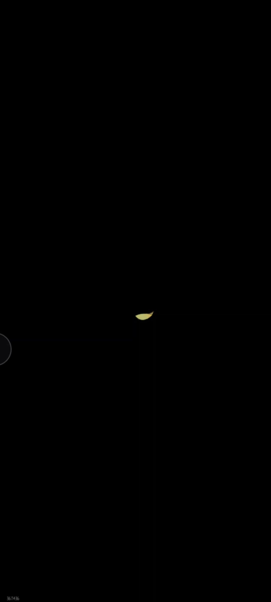 video-4153829