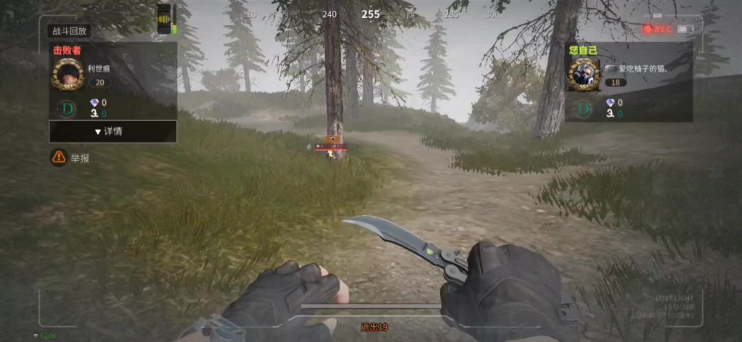 video-4153936