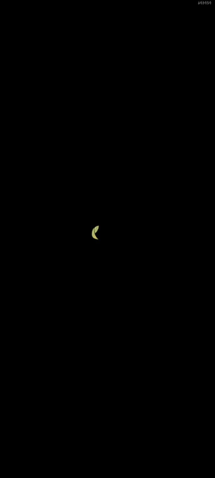 video-4154006