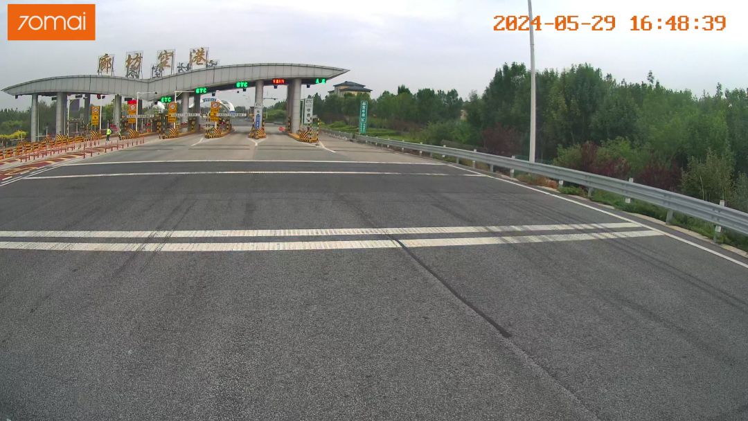 video-4155557