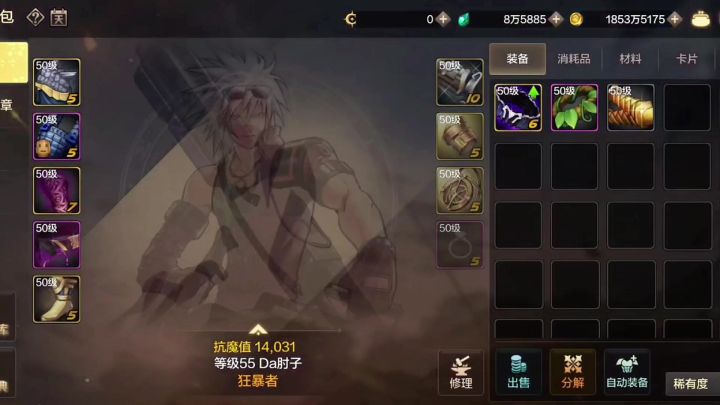 DNF手游:你们推荐的爬塔神器确实好用截图