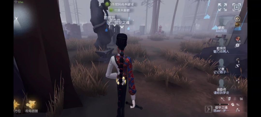 video-4158566