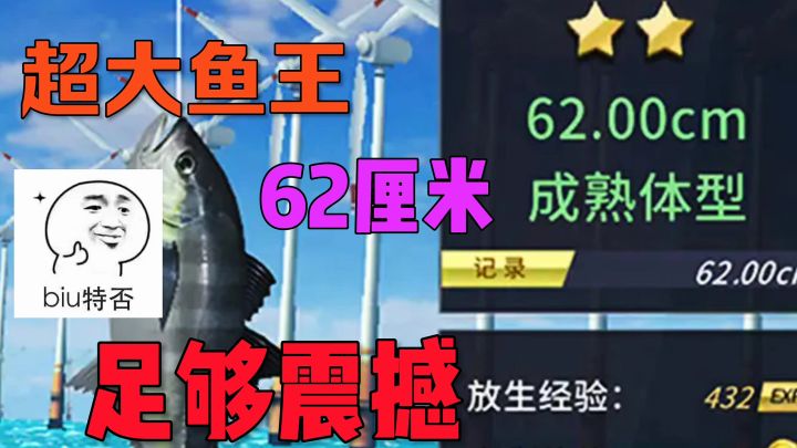 超级大鱼王足够震撼截图