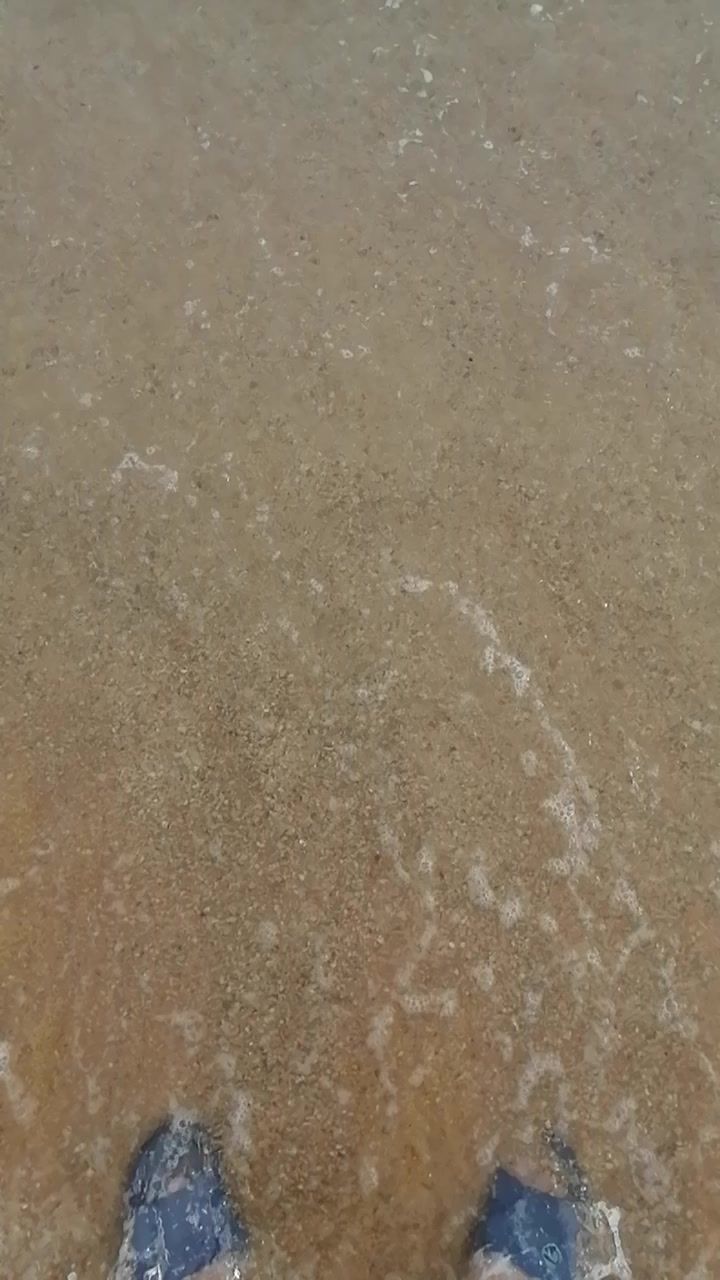 video-4161127