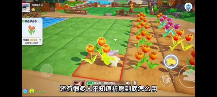 元梦农场祈愿功能教学,不会的速看截图