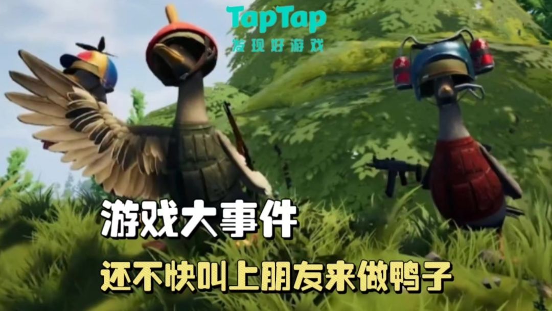 video-4163187