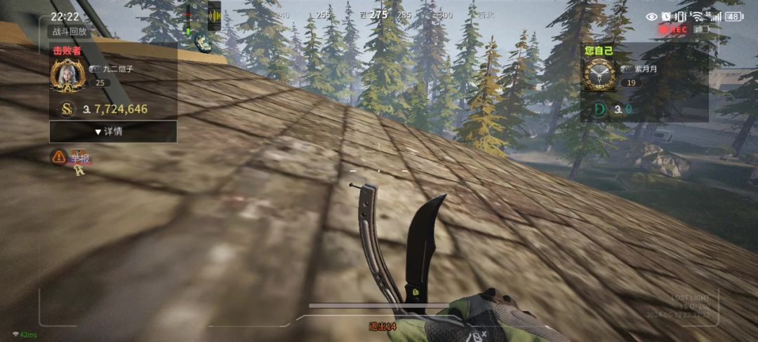 video-4165505
