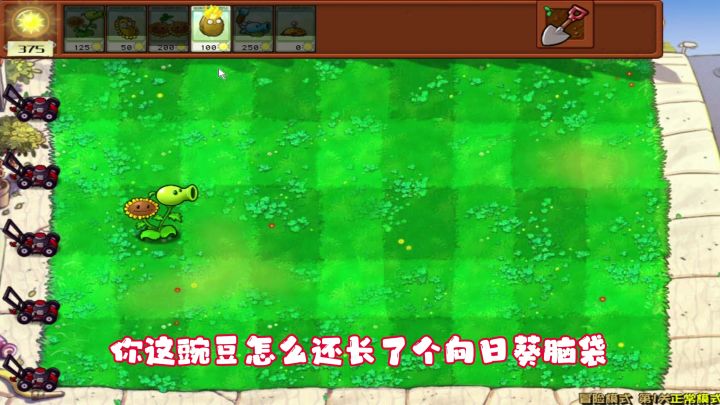 向日葵：是的，我和豌豆有一个孩子截图