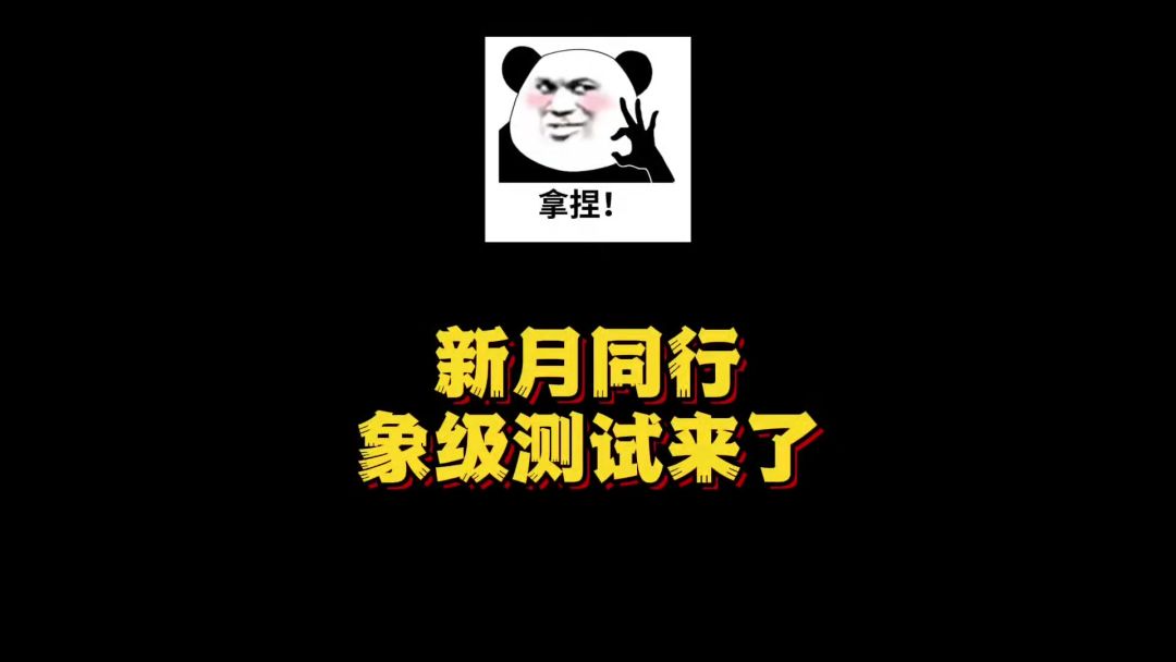 video-4169712