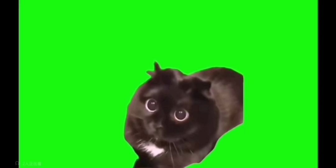video-4171051