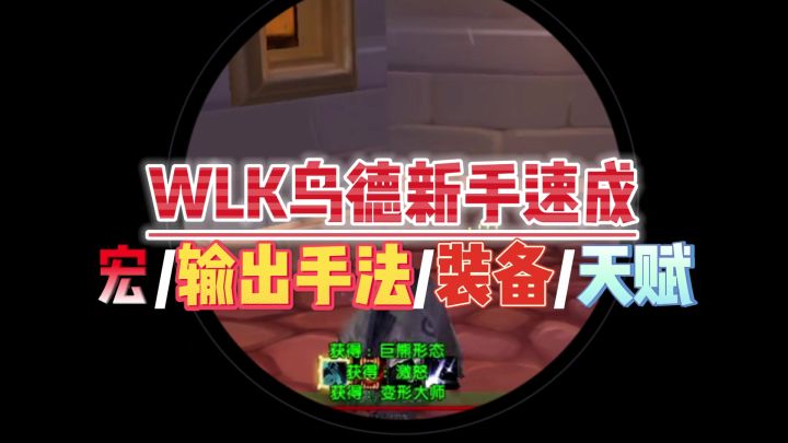 WLK鸟德新手速成(宏/天赋/输出循环)截图