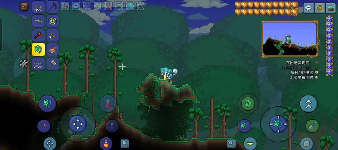 video-4172860