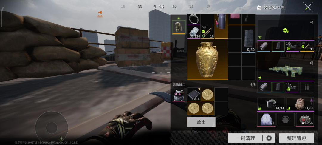 video-4175535