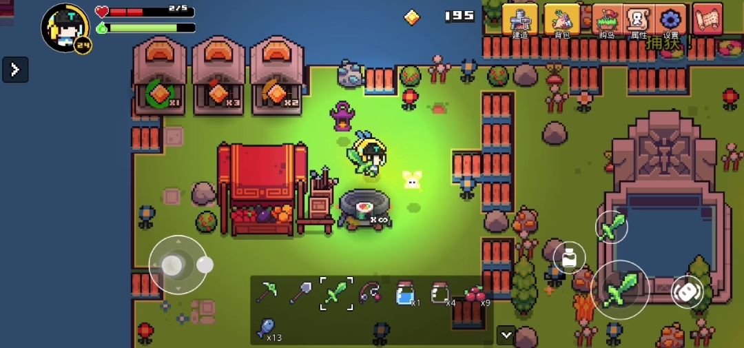 video-4177107
